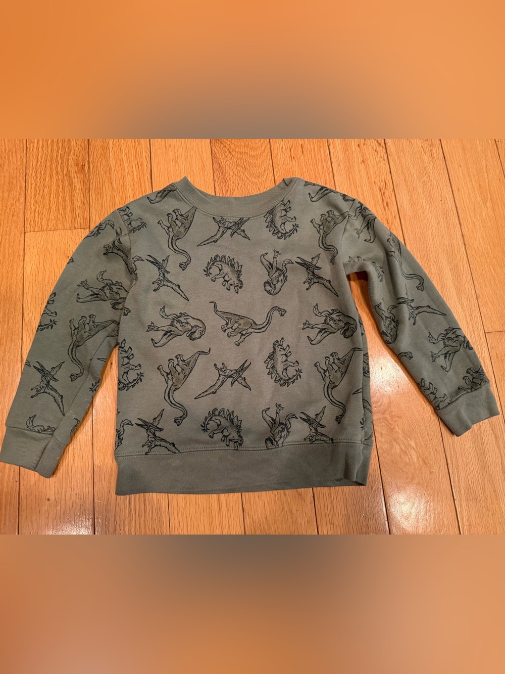 Garanimals Olive Green Dinosaur Crewneck Sweatshirt Size 3T